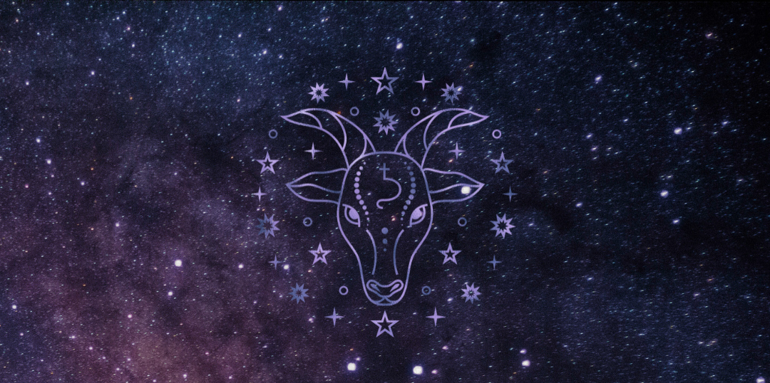 ♑︎ Capricornio ♑︎