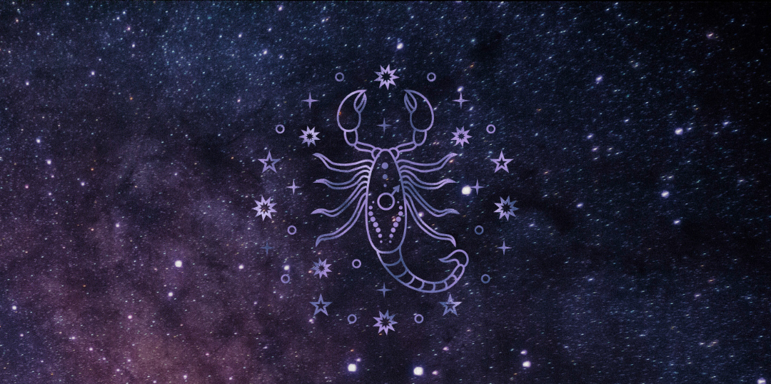 ♏︎ Escorpio ♏︎