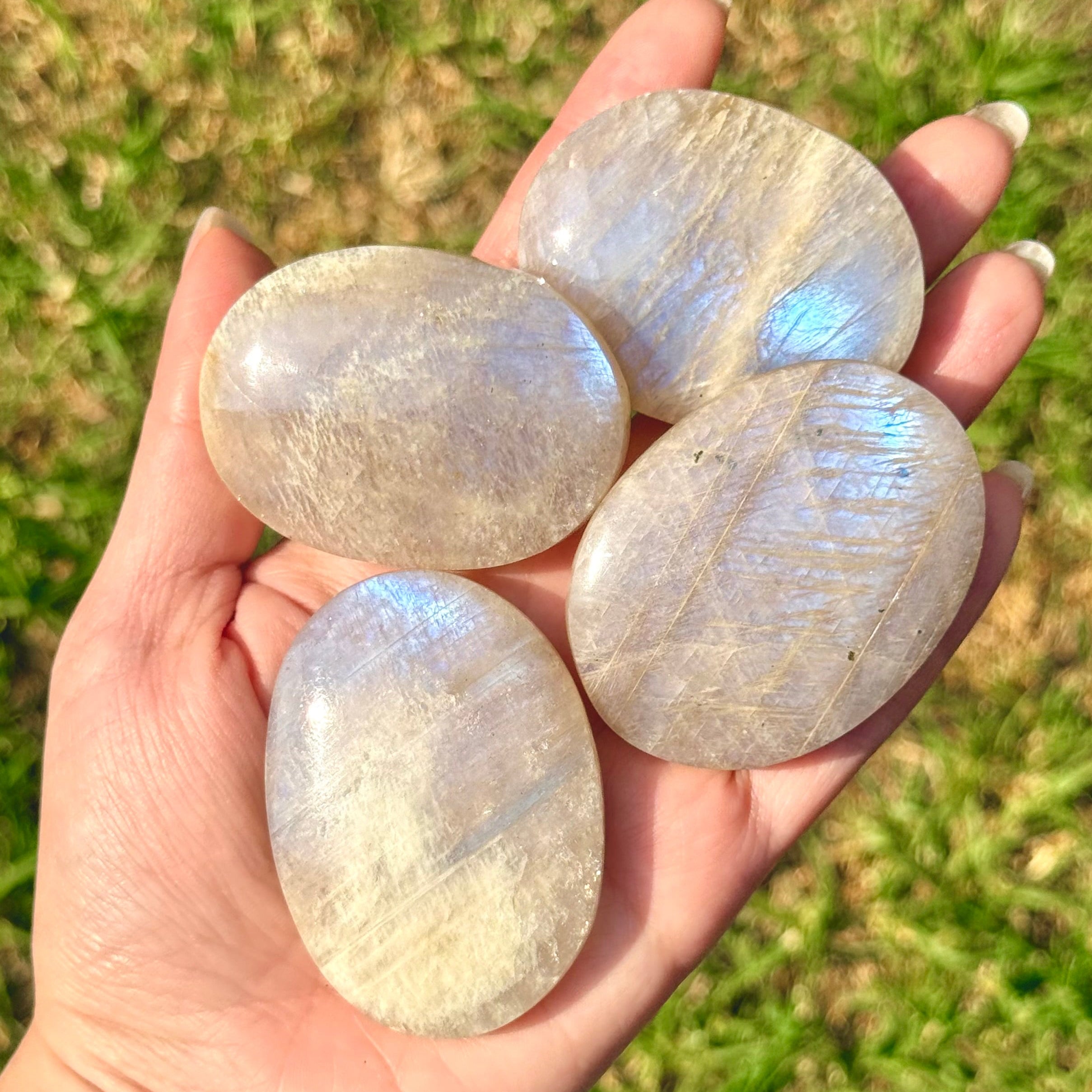 Palms de piedra luna rusa (belomorita)