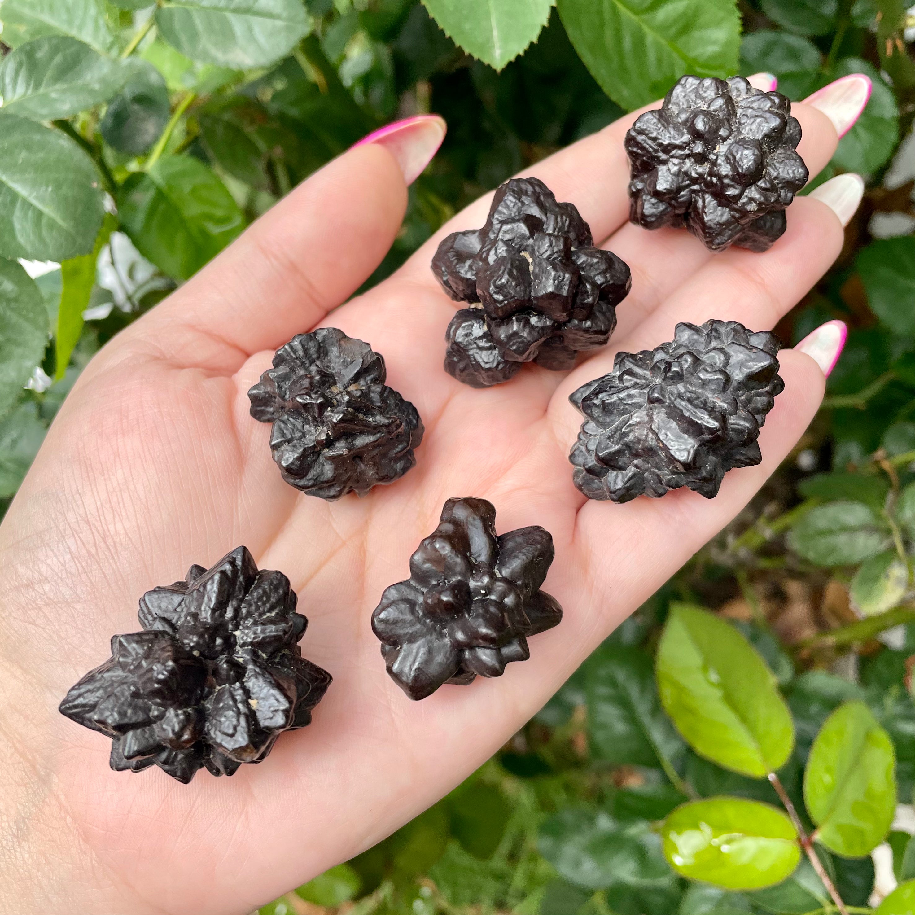 Piedra de la profecía