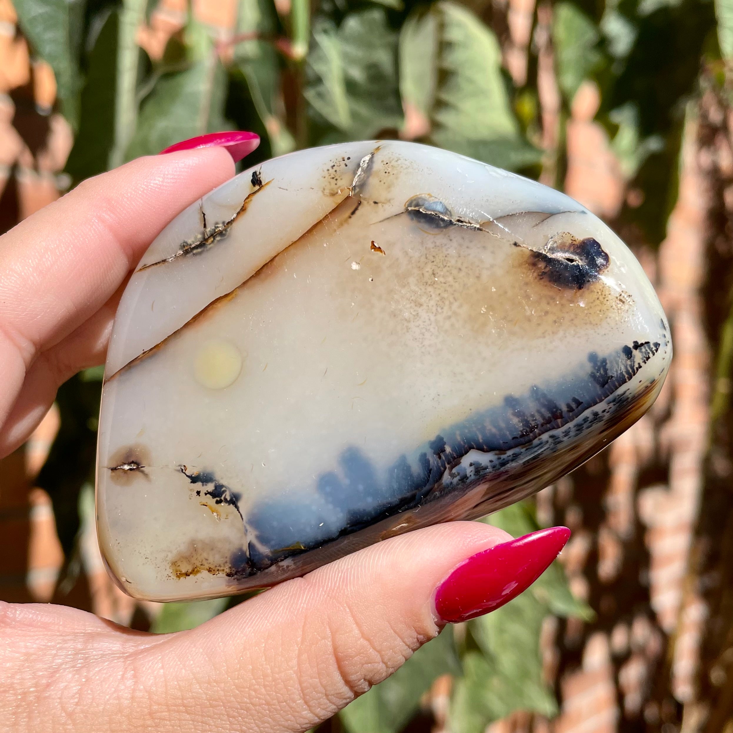 Palms de ágata dendrítica