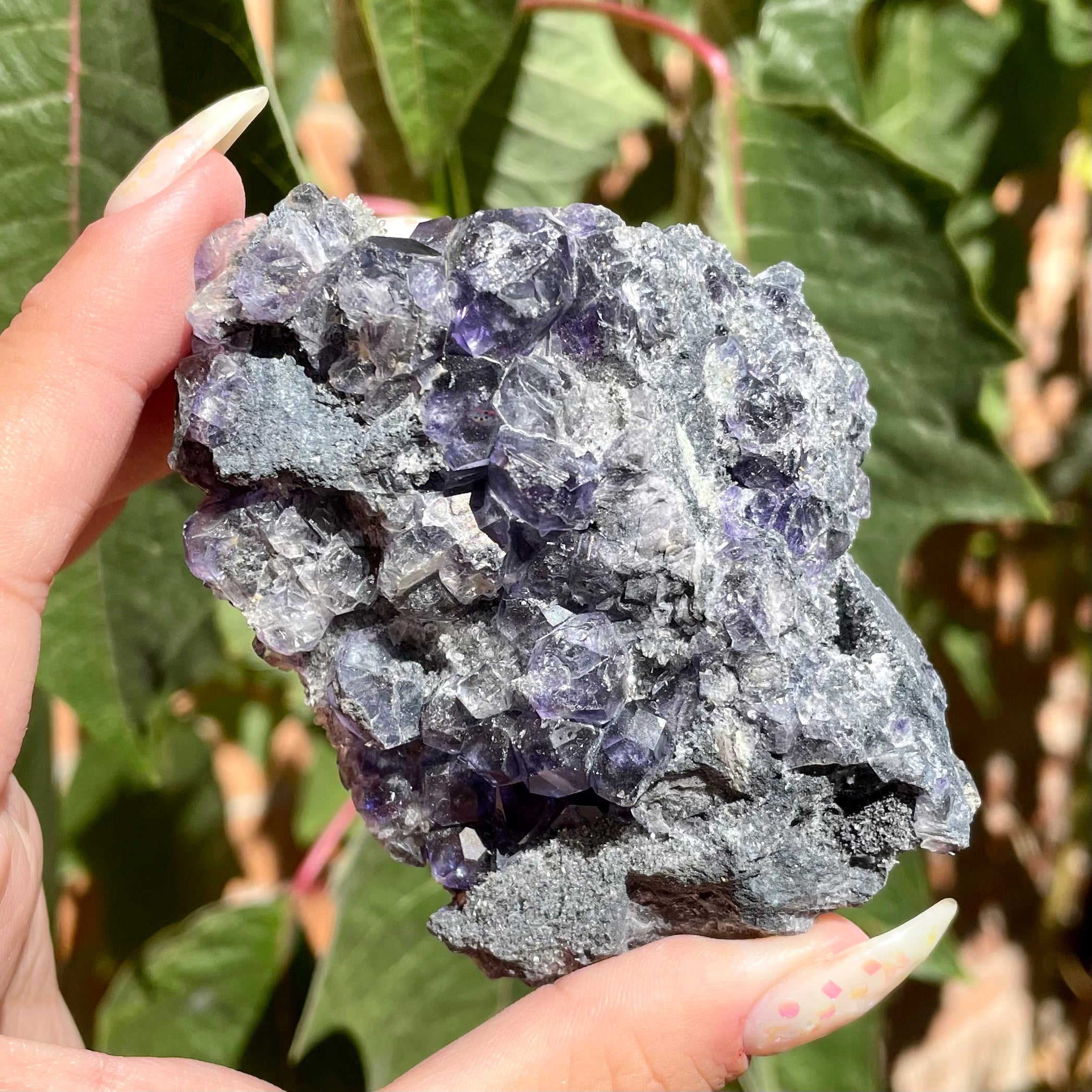 Especímenes de fluorita en bruto