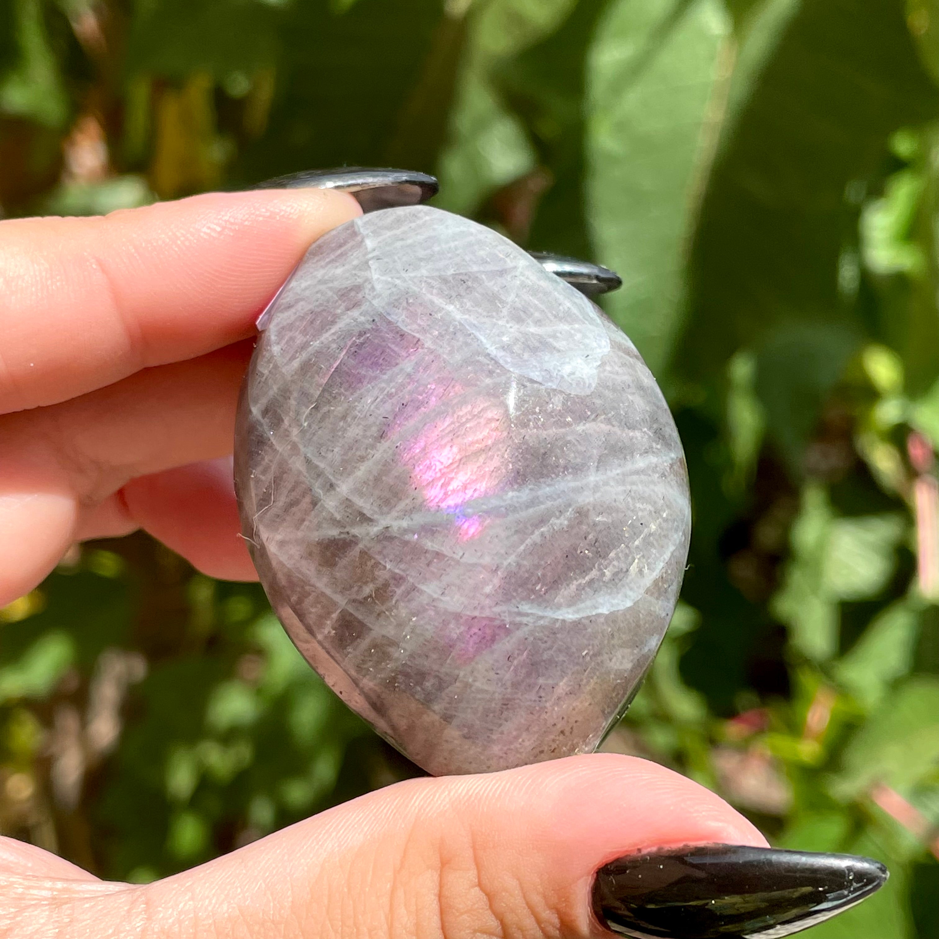 Palms de labradorita arcoíris