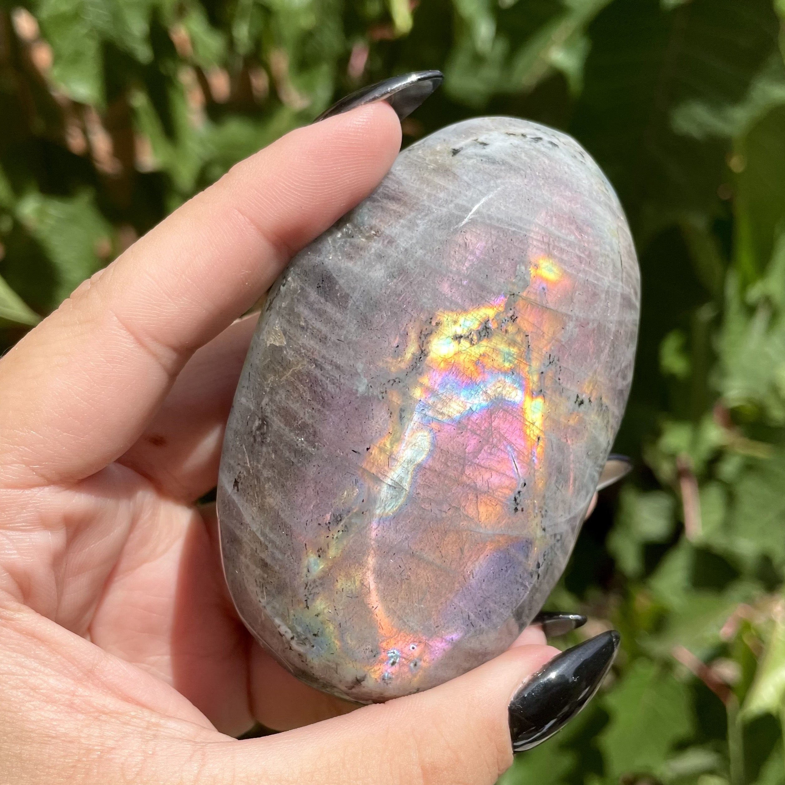 Palms de labradorita arcoíris