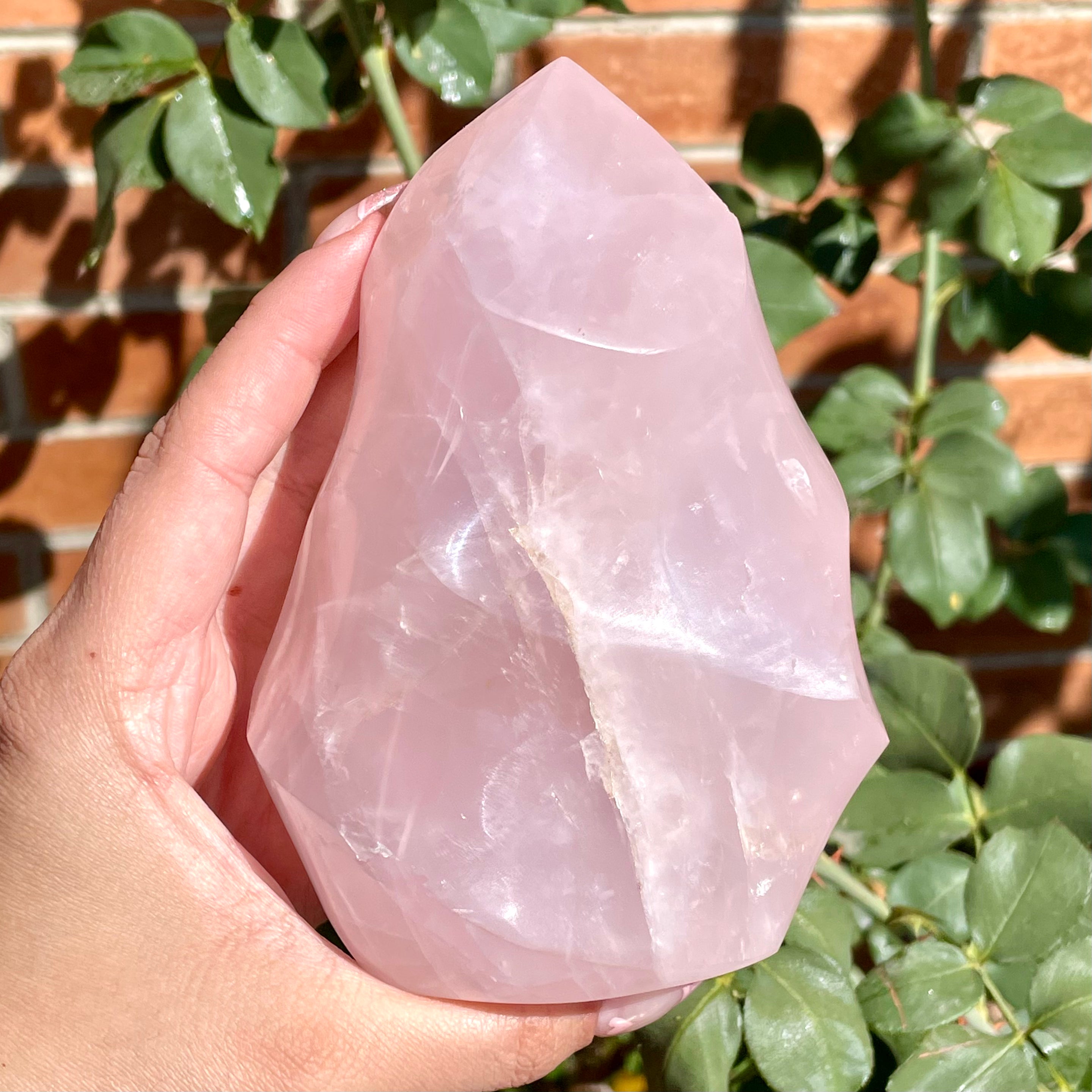 Flamas de cuarzo rosa