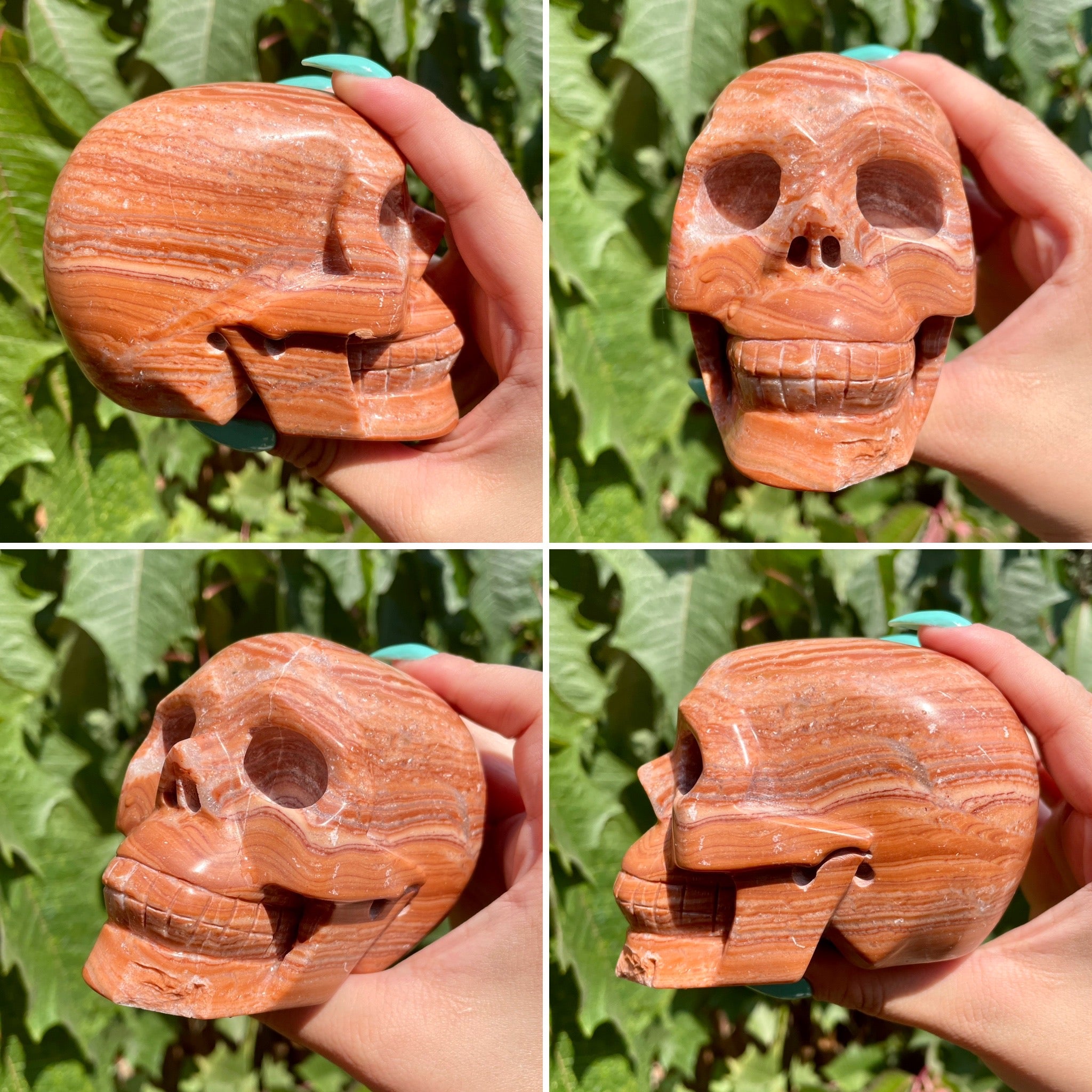 Cráneos de arenisca