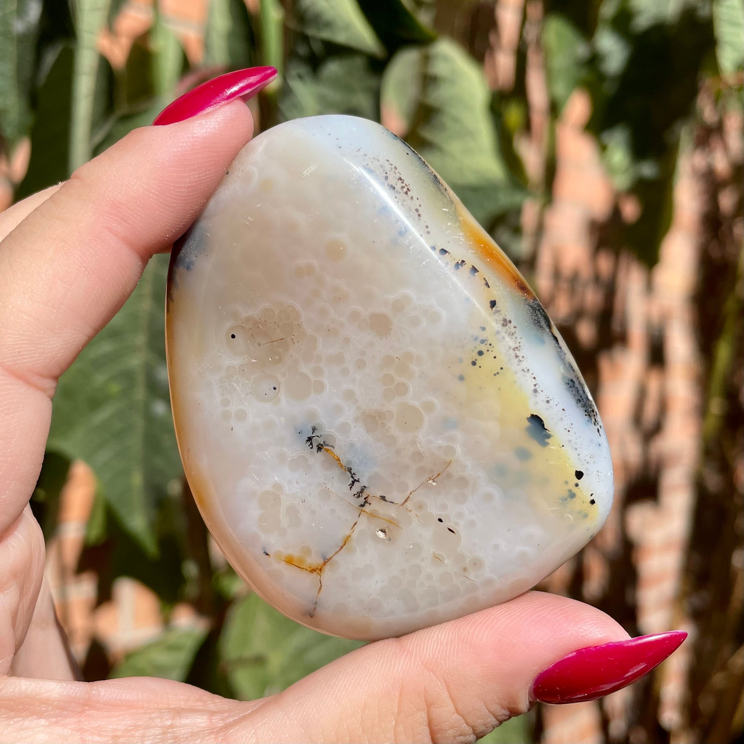 Palms de ágata dendrítica