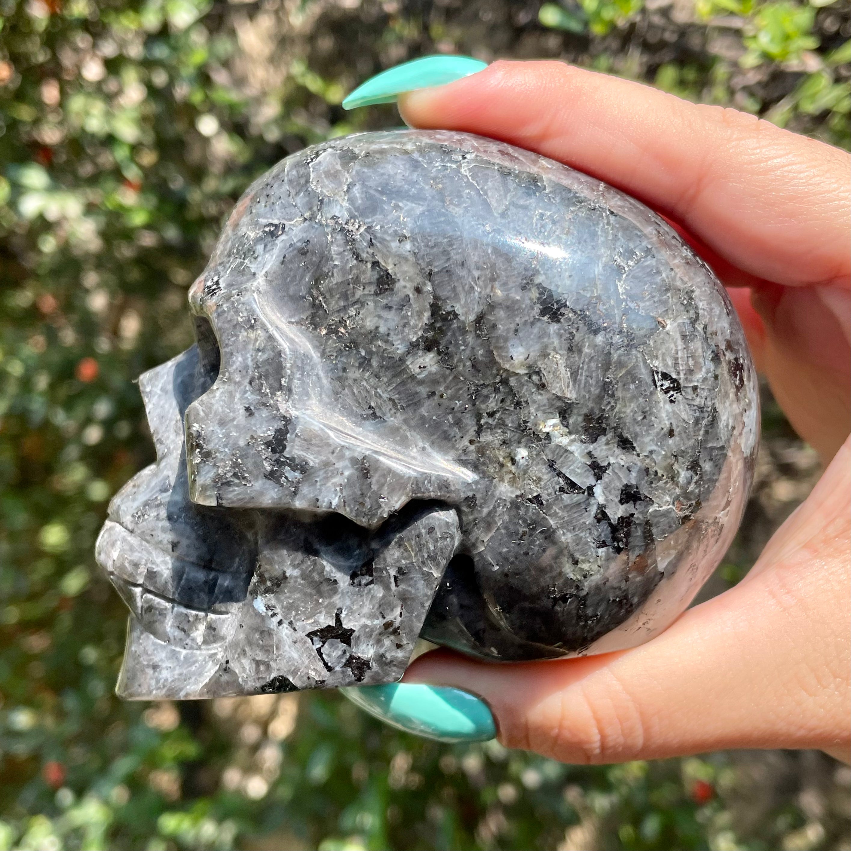 Cráneo de larvikita