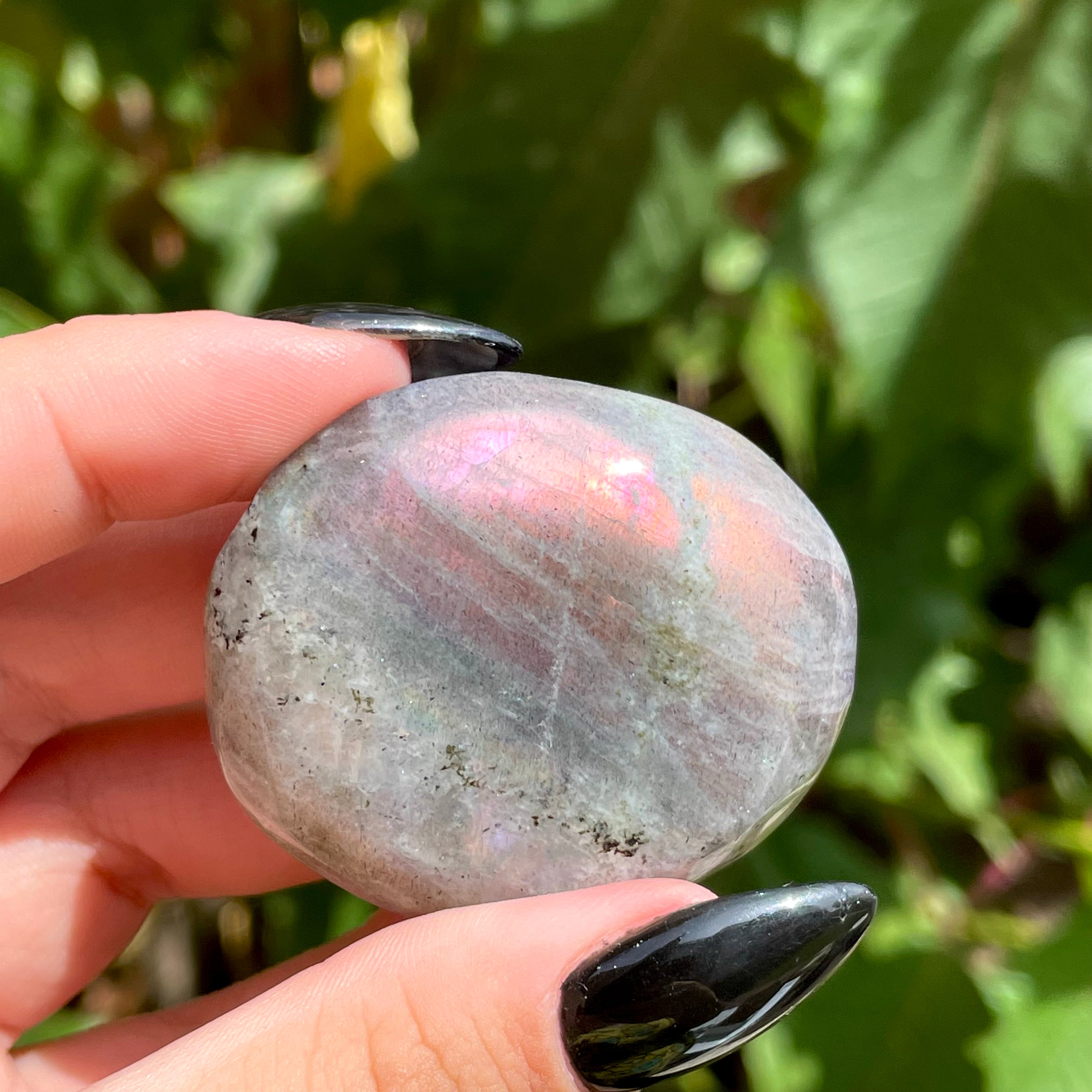 Palms de labradorita arcoíris