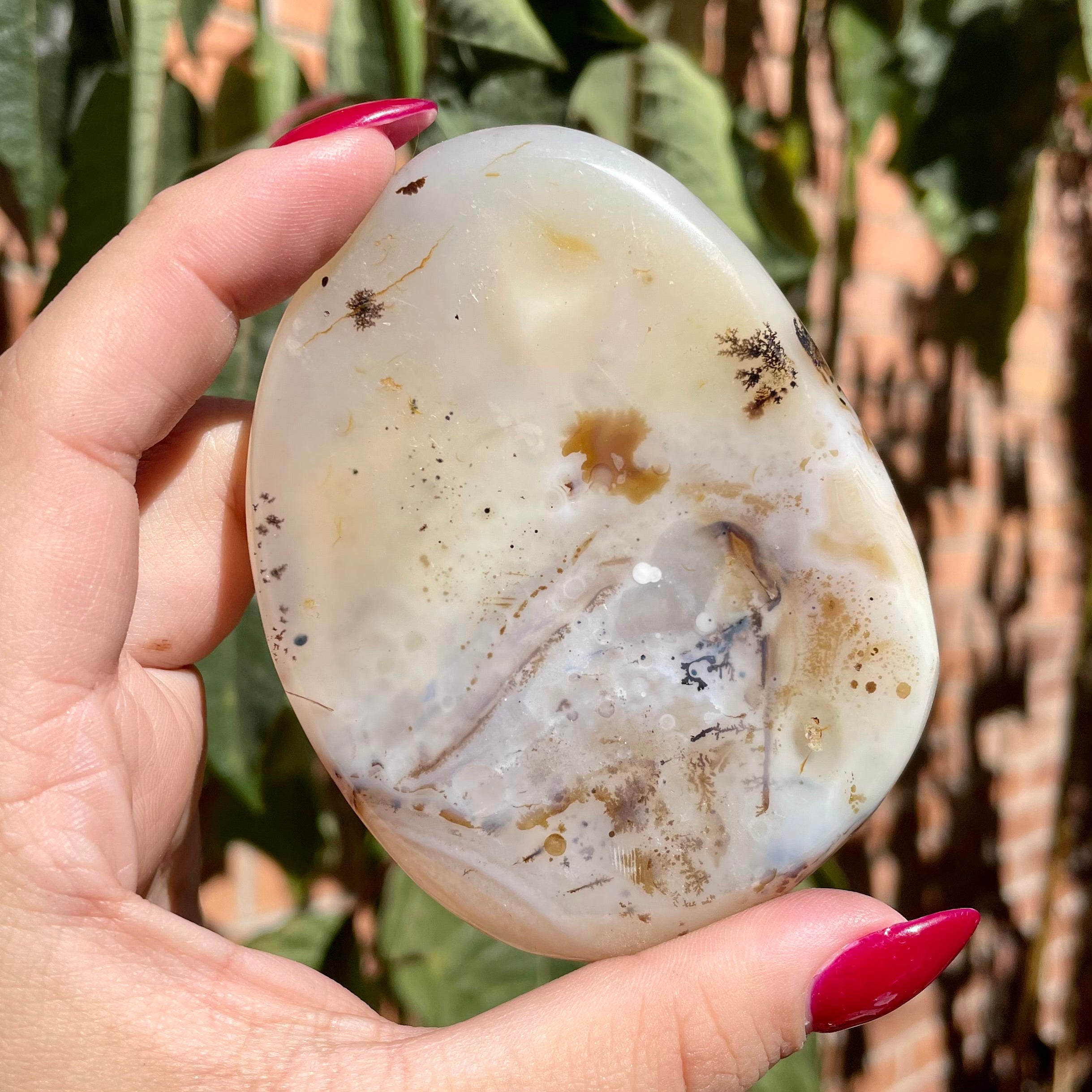 Palms de ágata dendrítica