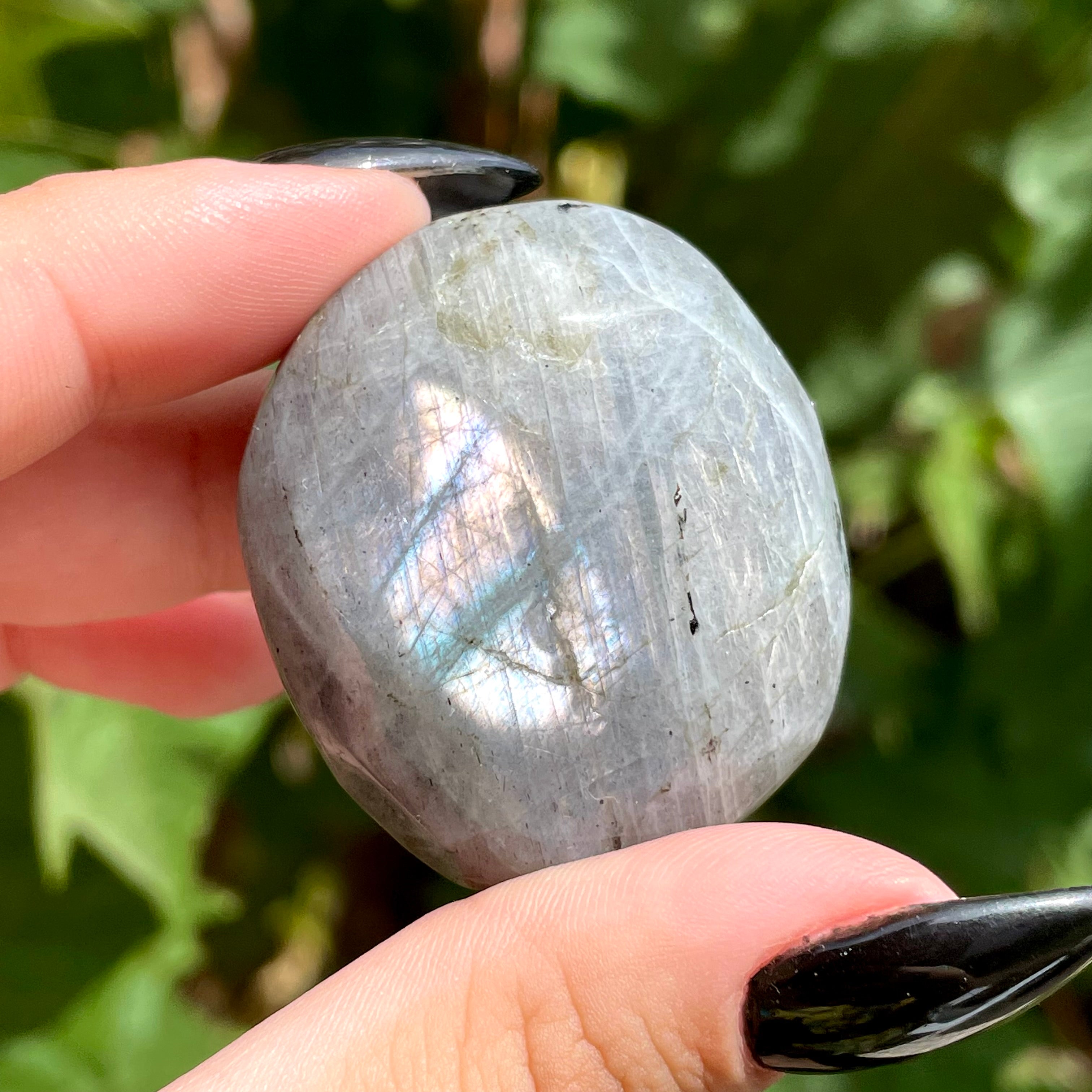 Palms de labradorita arcoíris