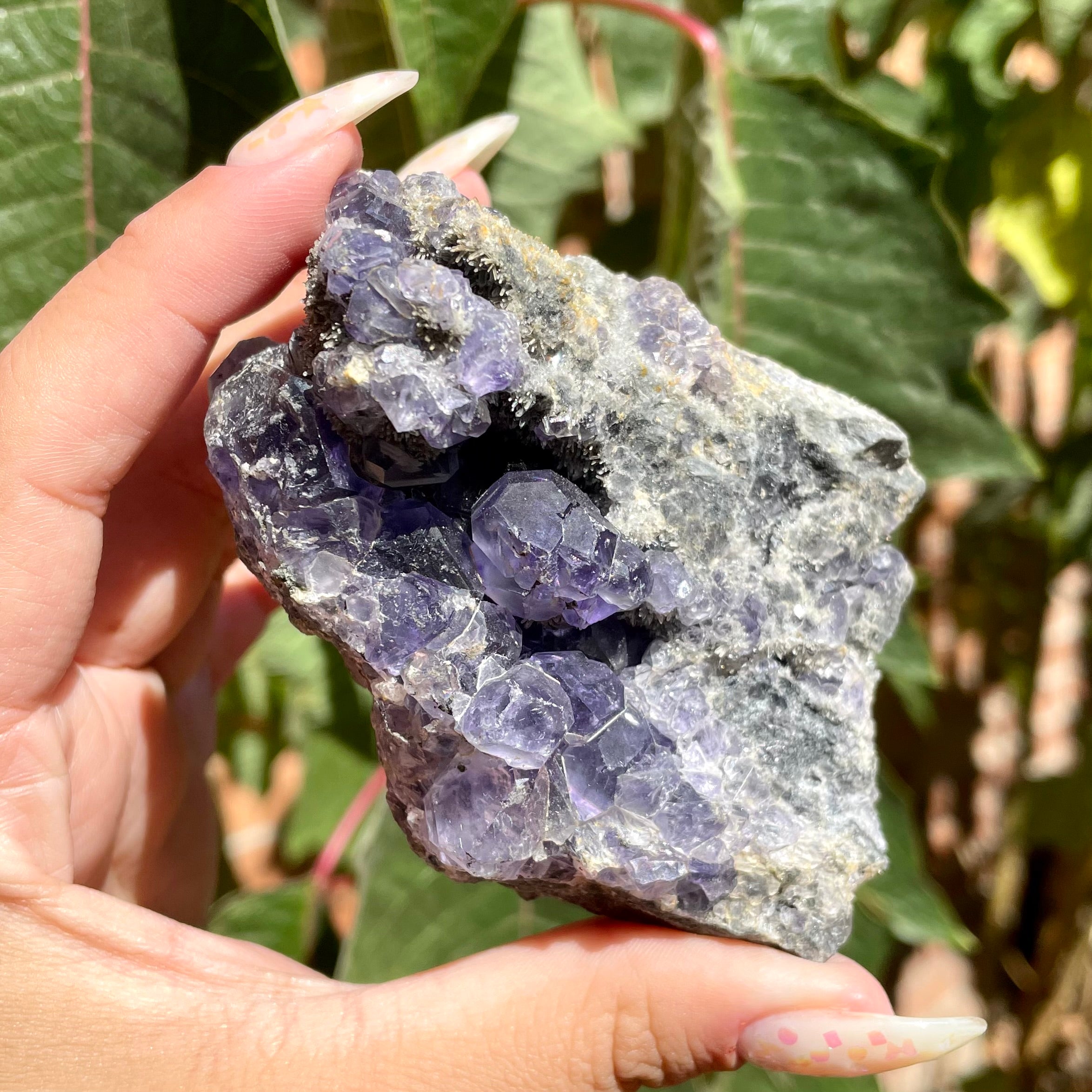 Especímenes de fluorita en bruto