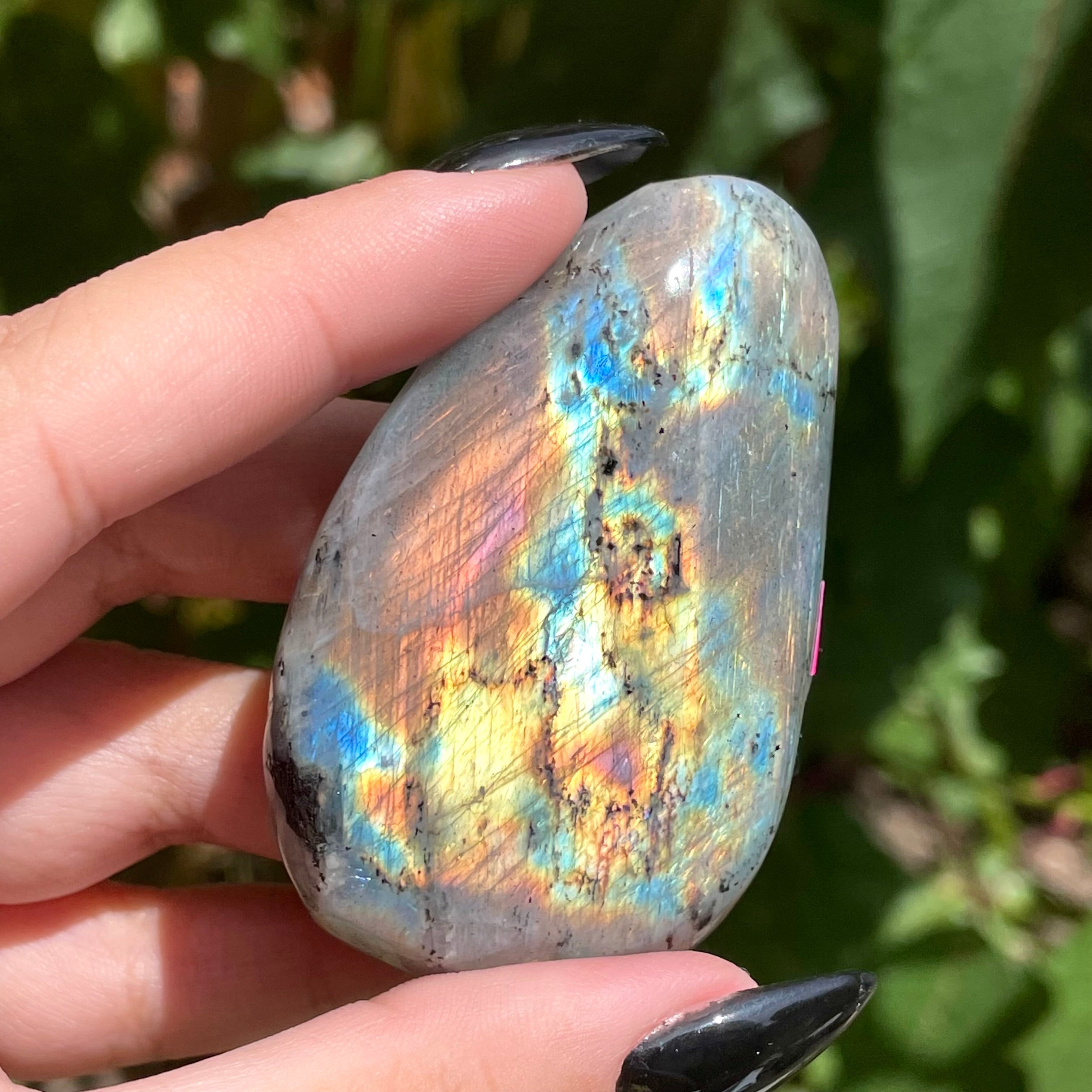 Palms de labradorita arcoíris