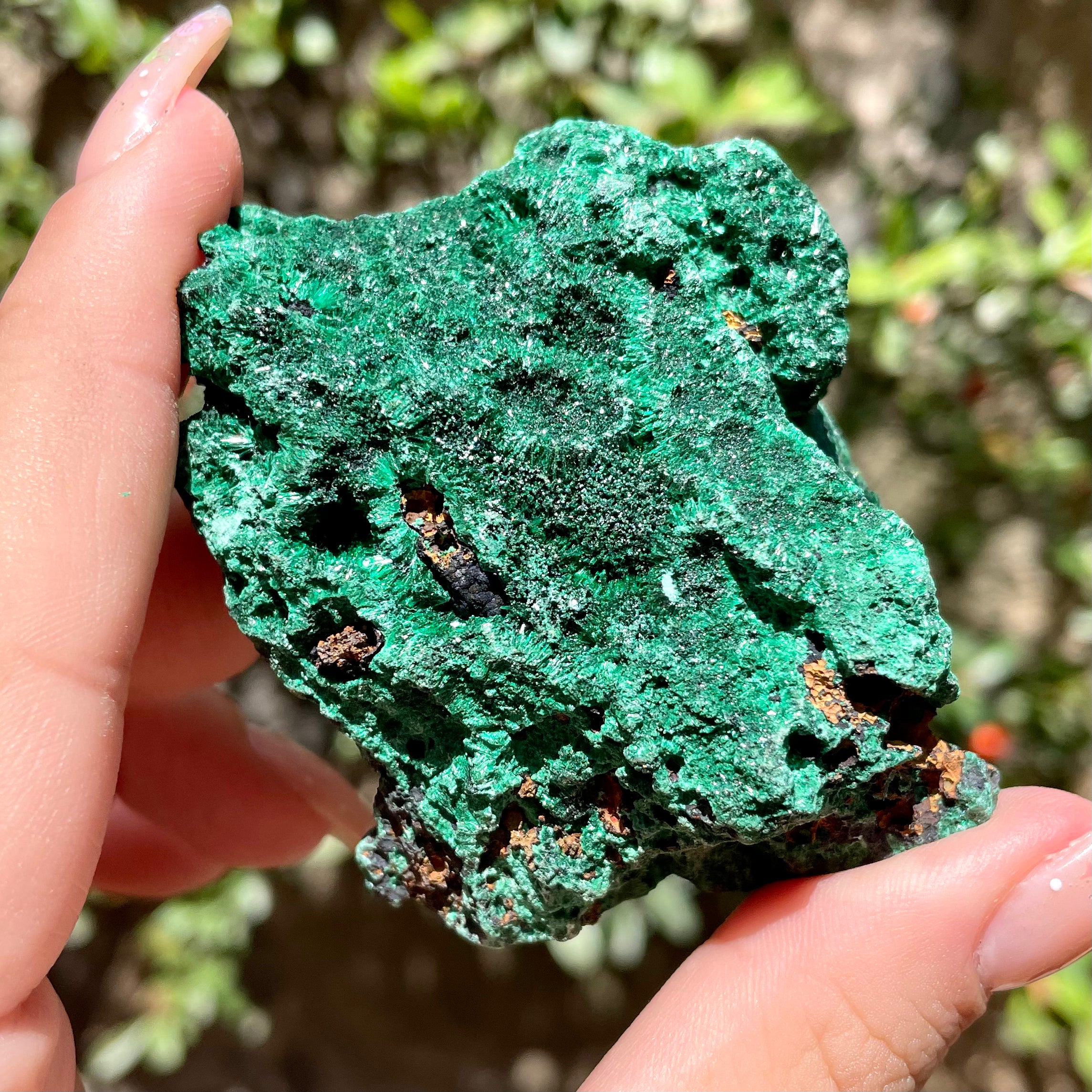 Especímenes de malaquita fibrosa en bruto