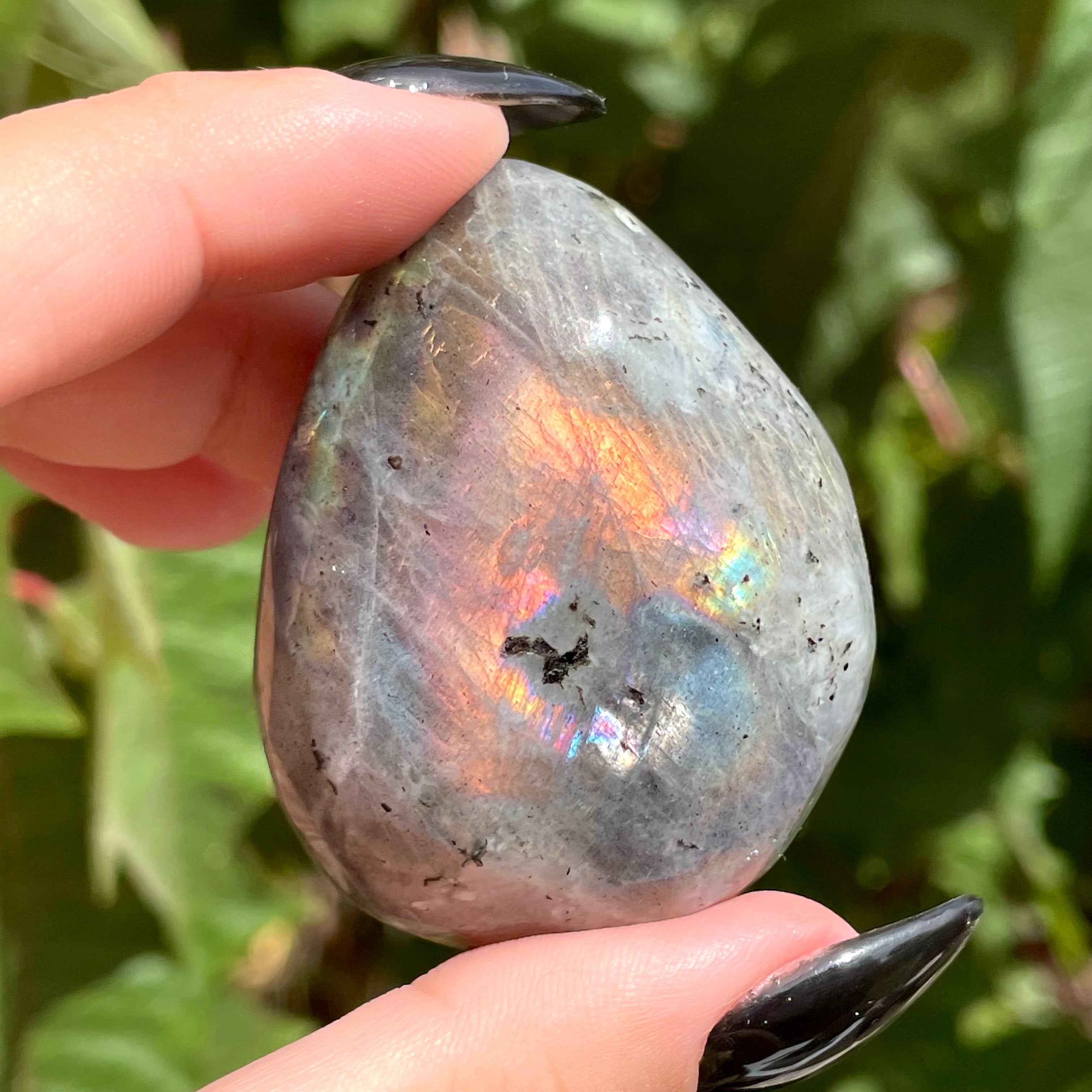 Palms de labradorita arcoíris