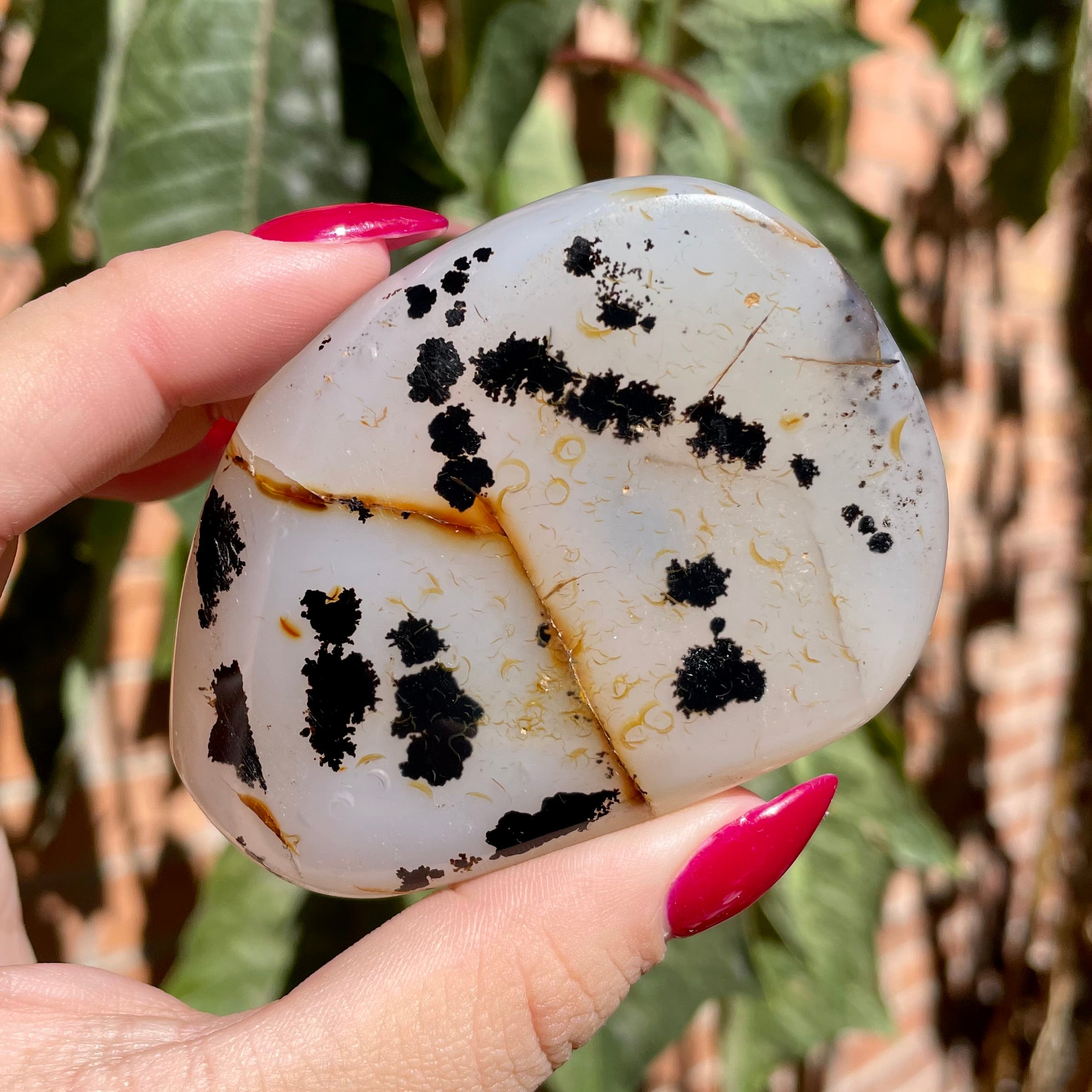 Palms de ágata dendrítica