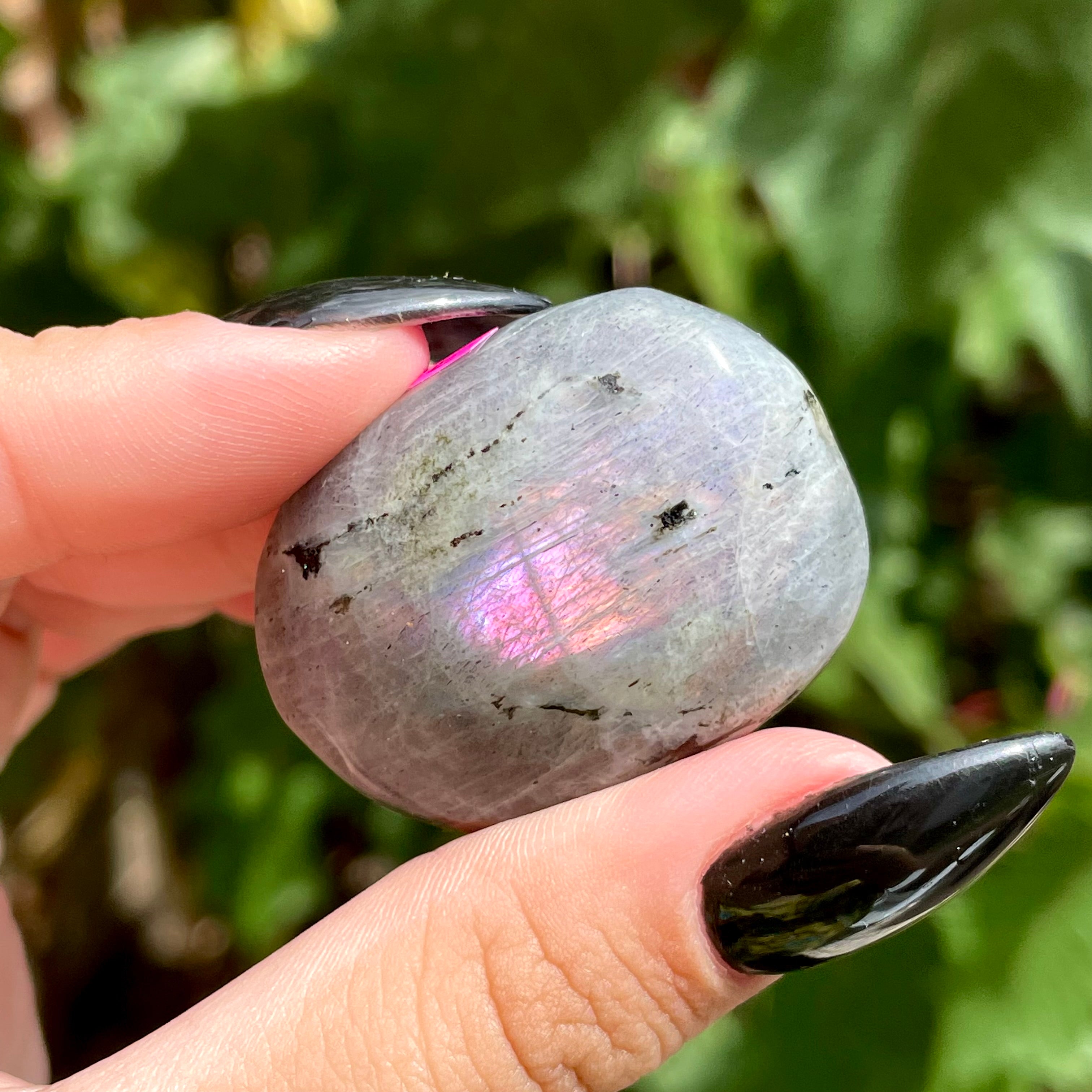 Palms de labradorita arcoíris