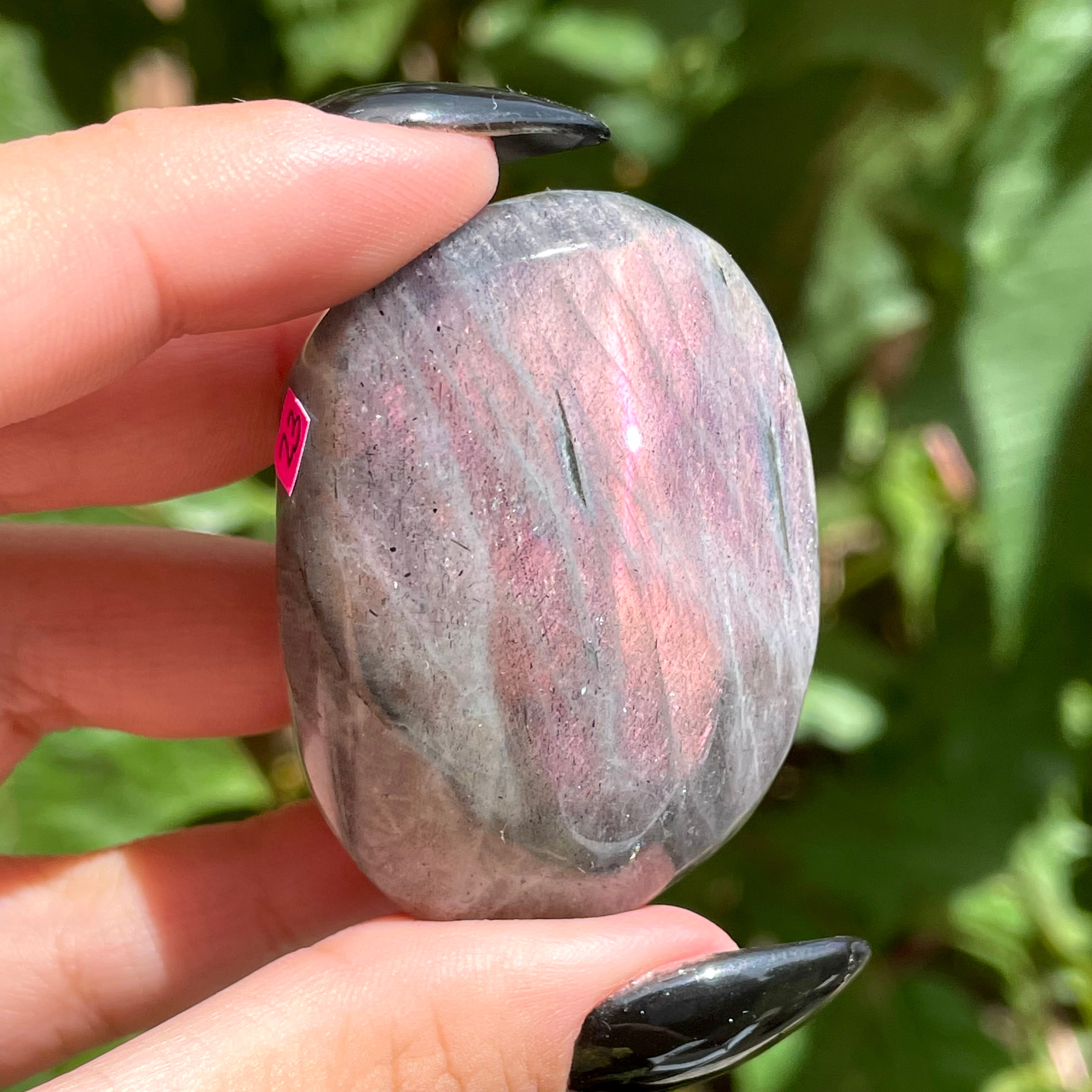 Palms de labradorita arcoíris