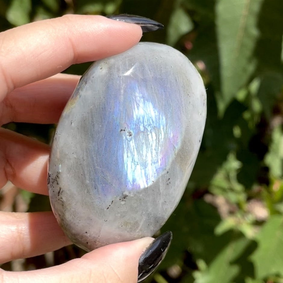 Palms de labradorita arcoíris