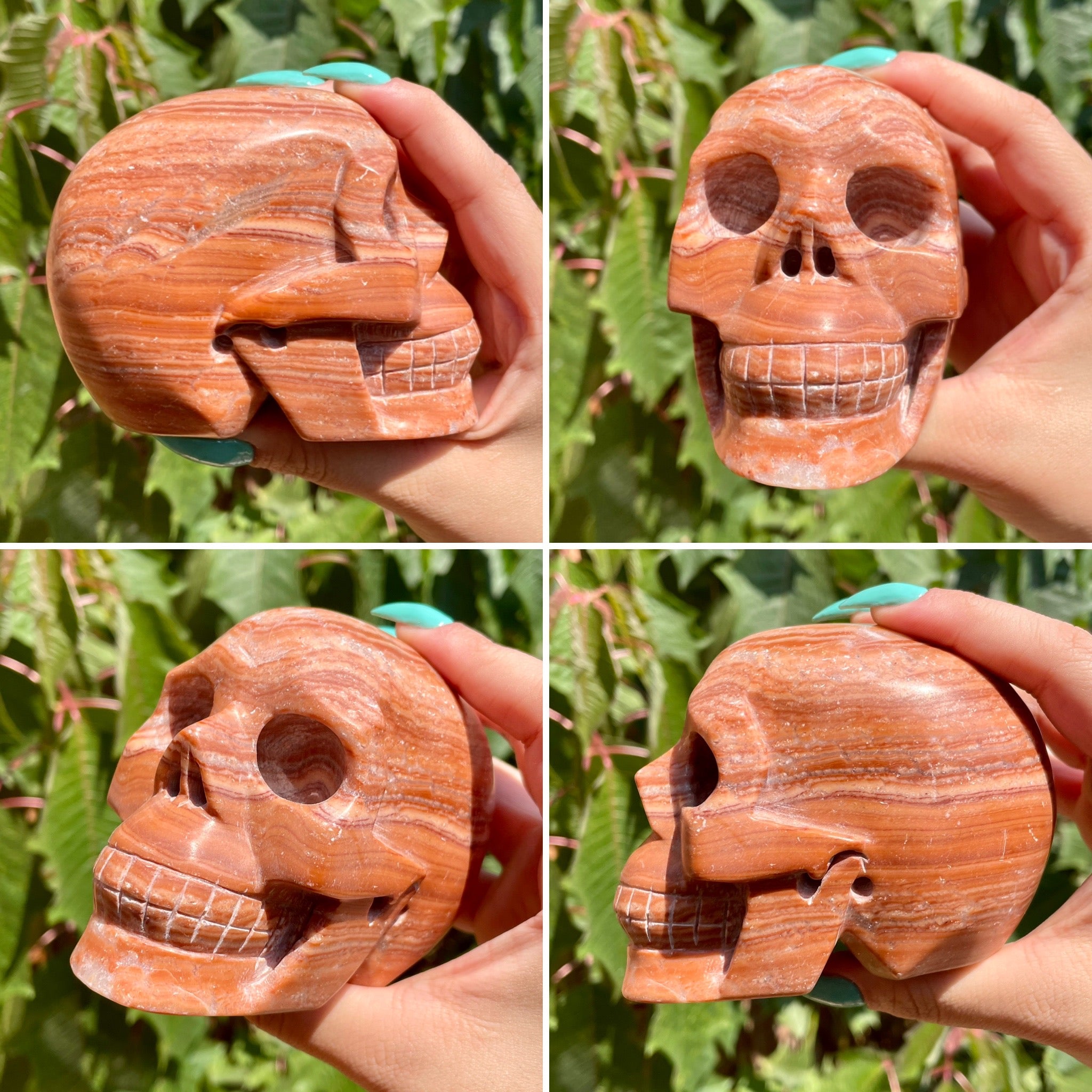 Cráneos de arenisca