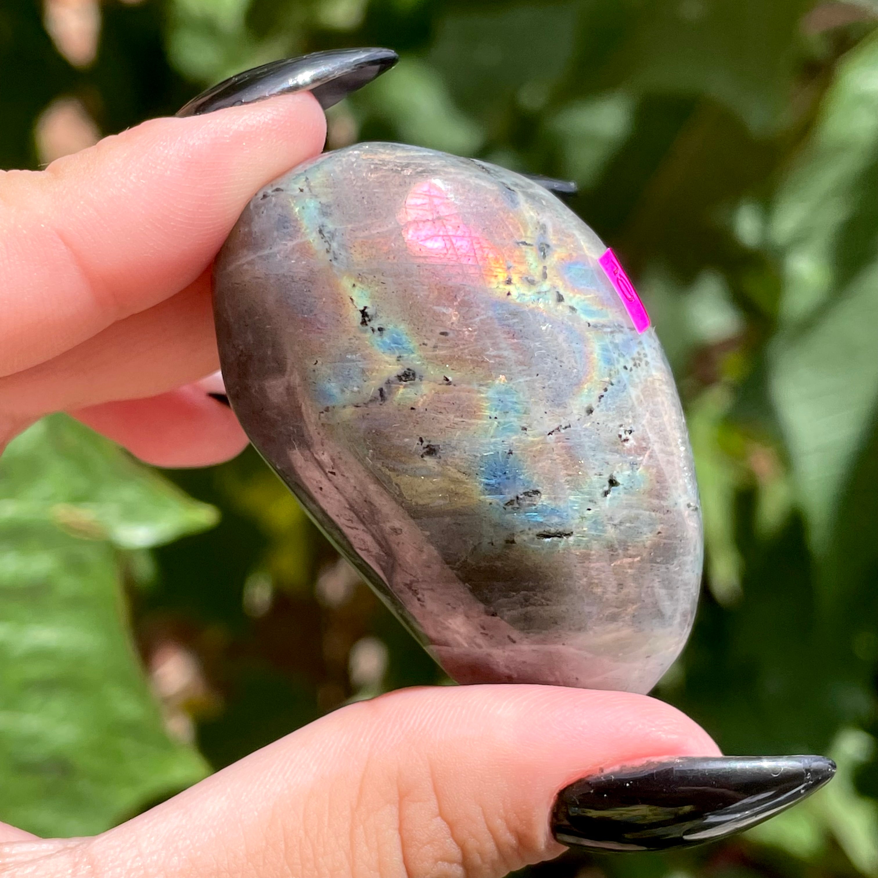 Palms de labradorita arcoíris