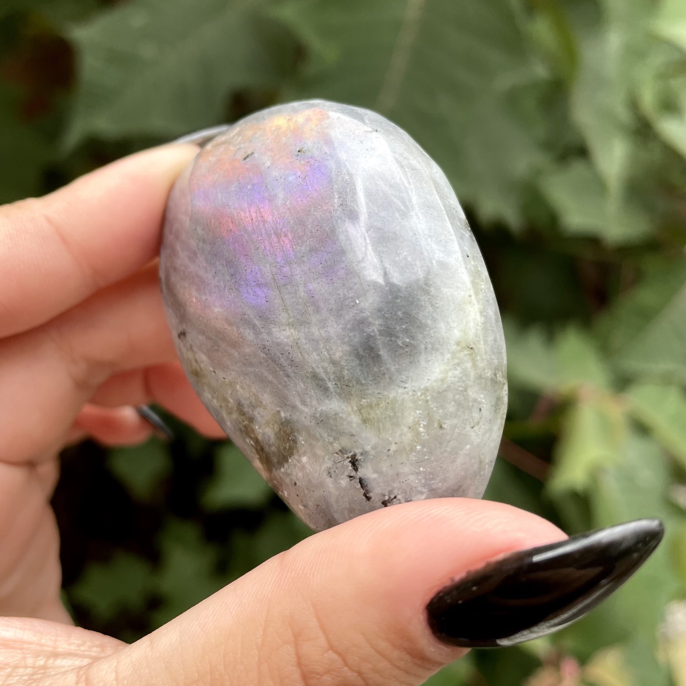 Palms de labradorita arcoíris