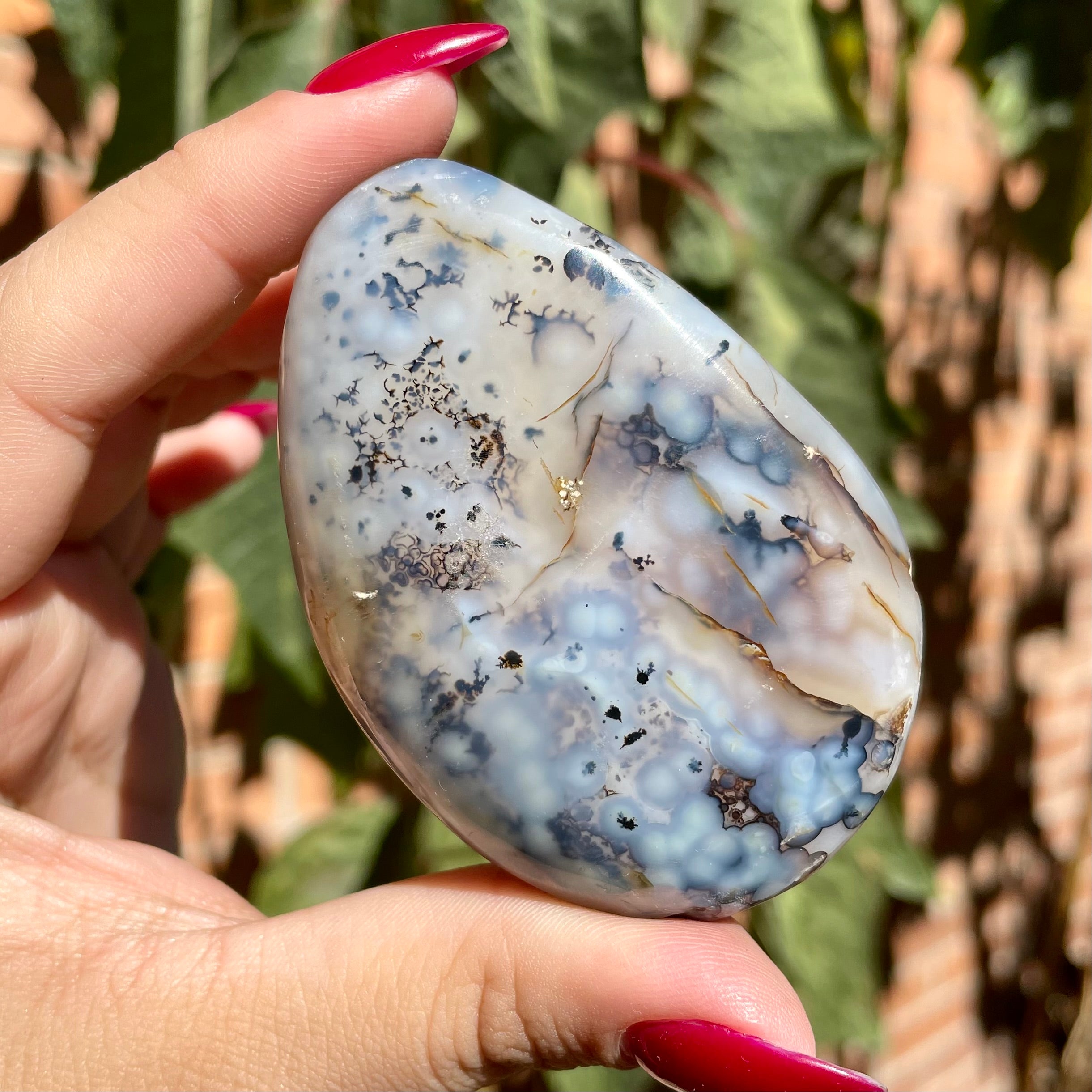 Palms de ágata dendrítica