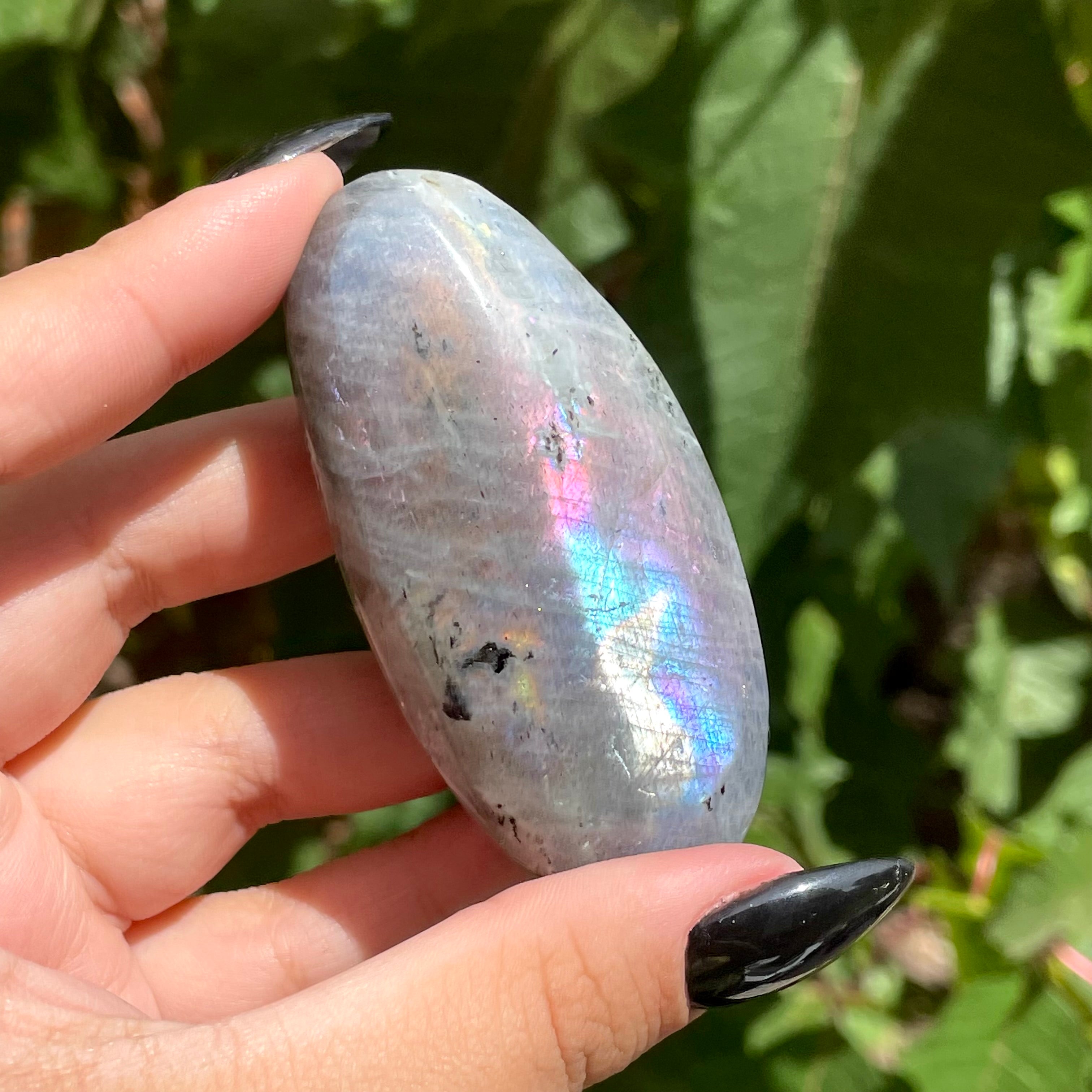 Palms de labradorita arcoíris