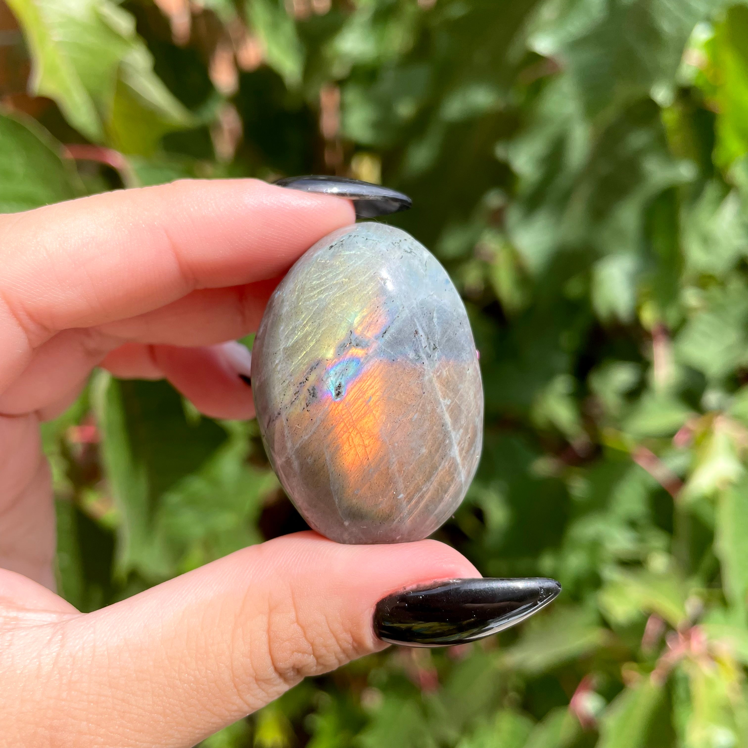 Palms de labradorita arcoíris